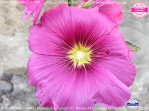 MadeinMycountry-MadeinMycountryGR-MadeinMycountyry-EU-Greece-Cyprus-Hellas-Madein-Greece-and-Cyprus-EU-Europ