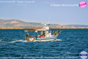 MadeinMycountryGR-EvrosCenter-MadeinMycountry-MacedoniaCenter-ThraceCenter-MadeinGreece-GR-Evros